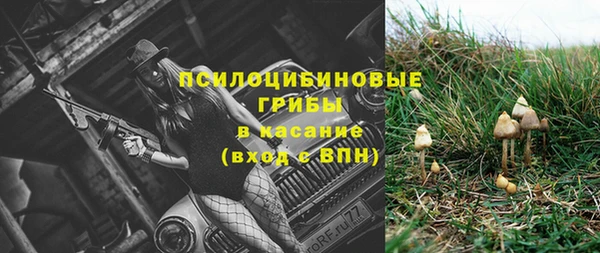 тгк Медногорск