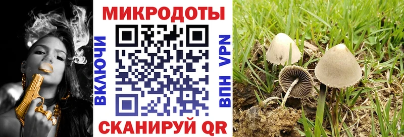 Галлюциногенные грибы Cubensis  Купить закладки  Холм 